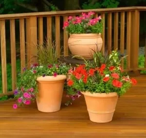 Clay and Terracotta