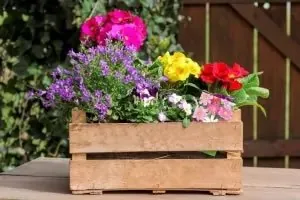Wood Planter