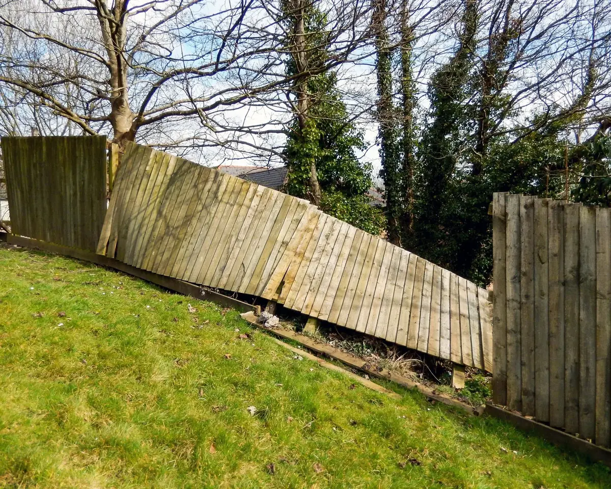 A fence panel blown flat, leaning across a garden after a storm