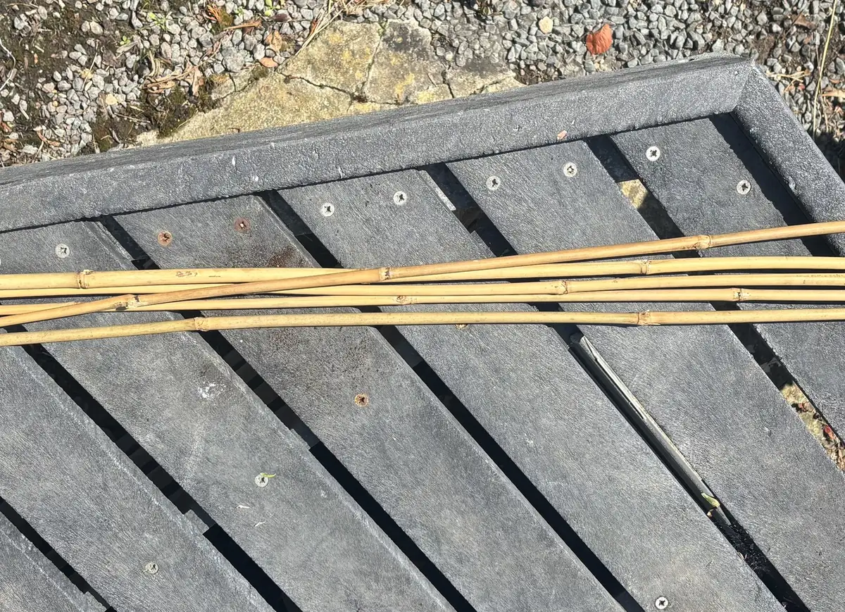 Bamboo Supports