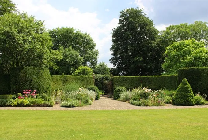 An established, well-cared-for hedge